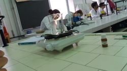 Immagine_WhatsApp_2025-10-29_ore_172222_3a506e61